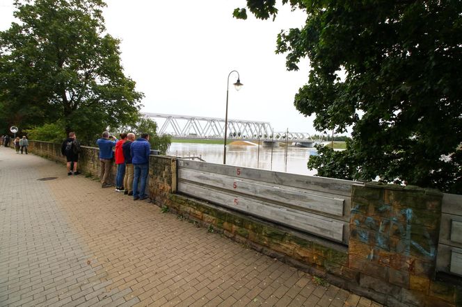 Powódź w Opolu. Stan Odry w środę, 18.09.2024 