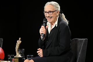 Maja Komorowska w świetnej formie