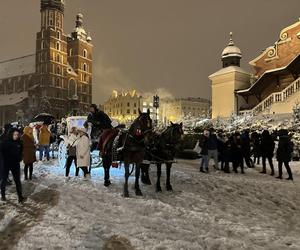 Choinka na Rynku Głównym