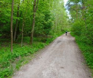 W majówkę ruszyłem rowerem ulicami Kielc! 