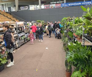 Festiwal Roślin znów zachwycił bydgoszczan! Setki gatunków i wyjątkowa atmosfera