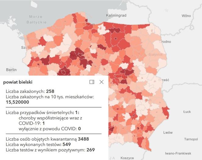 Koronawirus w województwie śląskim. Tak wygląda sytuacja w poszczególnych powiatach [RAPORT, 19 MARCA]