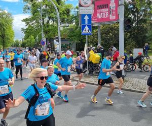 Wings for Life World Run