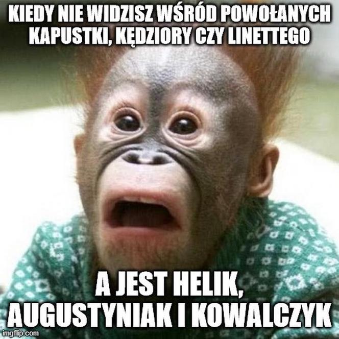 Reakcja internautów na powołania Sousy