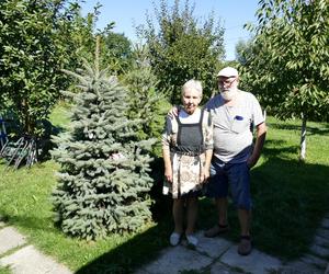 Pan Włodzimierz stworzył zielony azyl dla chorej na Alzheimera żony. Teraz ma go stracić