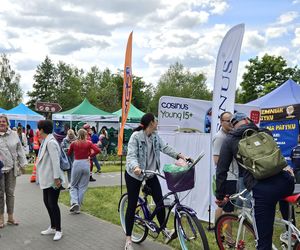Festiwal Przyjaciół Zwierząt w Olsztynie. Park Centralny opanowały radosne pieski