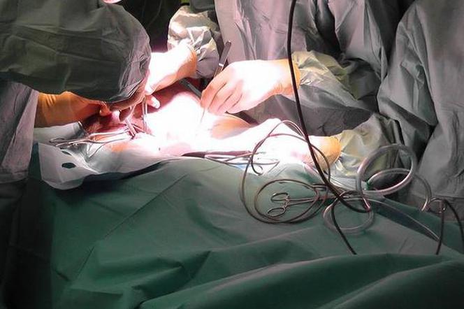 Nie zabieraj organów do nieba, czyli promocja transplantologii