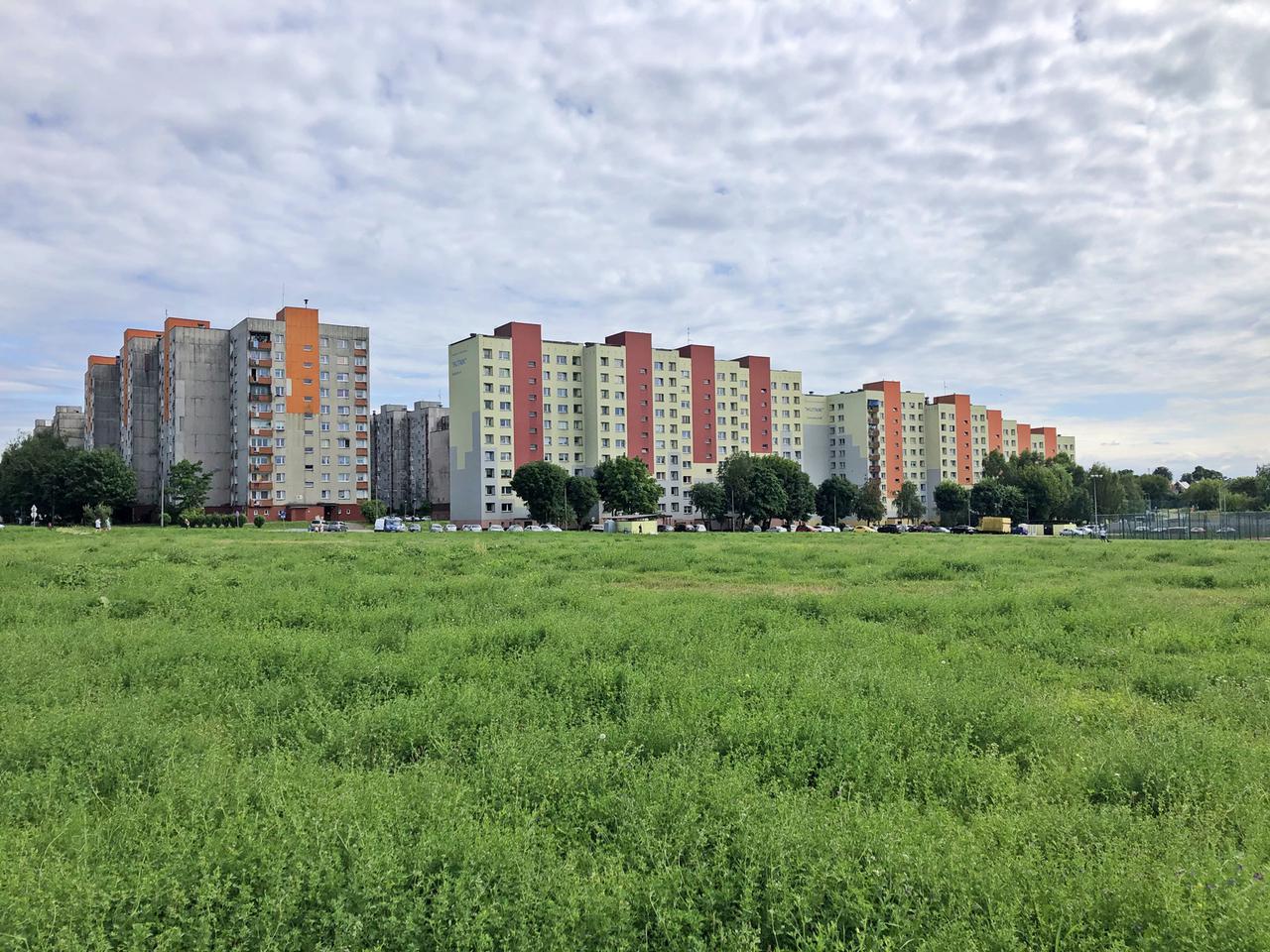 Po raz pierwszy od 50 lat w Sosnowcu pojawi się nowy park. W Zagórzu, czyli najludniejszej dzielnicy Sosnowca posadzonych zostanie tysiąc drzew