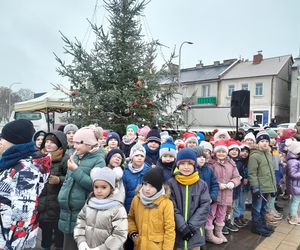 Na rynku w Mordach stanęła choinka