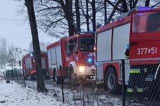 Cichy zabójca zaatakował w powiecie tarnowskim. 15-latka trafiła do szpitala