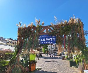 Festiwal Karpaty na Widelcu w Rzeszowie