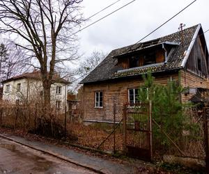 Boernerowo w Warszawie - zdjęcia drewnianego osiedla, miasta-ogrodu