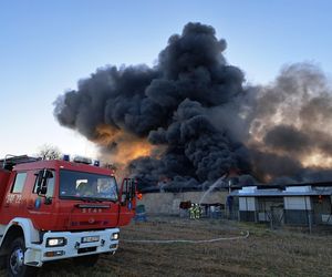 Manie pod Białą Podlaską. Wielki pożar magazynu z parafiną. Z ogniem walczą strażacy z całego regionu