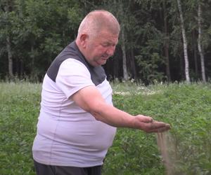 Rolnicy. Podlasie. Gienek i Andrzej z Plutycz z kolejnym problemem. Najpierw stonka, a teraz to. Co to za czasy