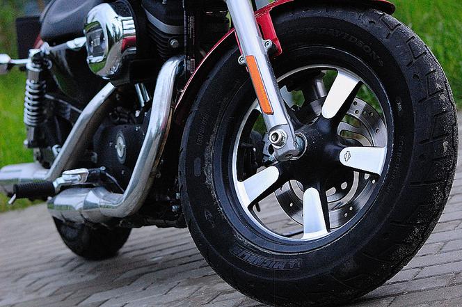 Harley-Davidson Sportster 1200 Custon CA