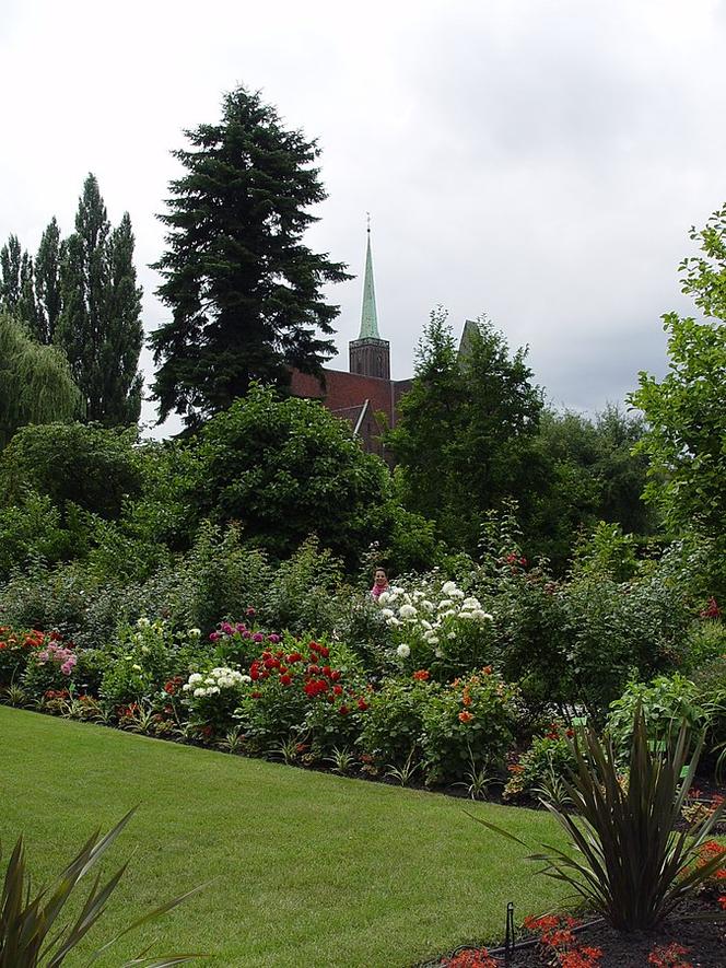 7 najładniejszych ogrodów botanicznych w Polsce. Kiedy je odwiedzić i gdzie są?