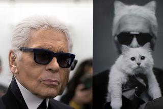 Karl Lagerfeld - kotka projektanta odziedziczy fortunę?