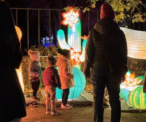 Garden of Lights we Wrocławiu