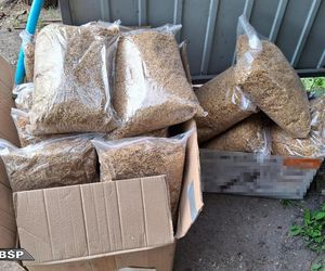 CBSP rozbiło gang producentów papierosów.