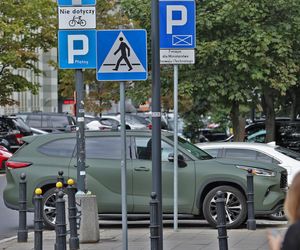 Marcelina Zawadzka ma ręce pełne roboty