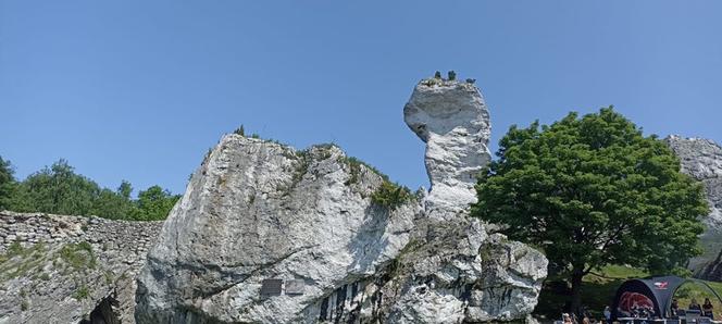 Mistrzostwa Polski w Grillowaniu Steków Ogrodzieniec 2023