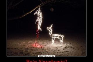 Najlepsze MEMY z okazji Świąt Bożego Narodzenia 2023!