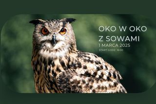 Oko w Oko z Sowami w Kazimierzu Dolnym [AUDIO]