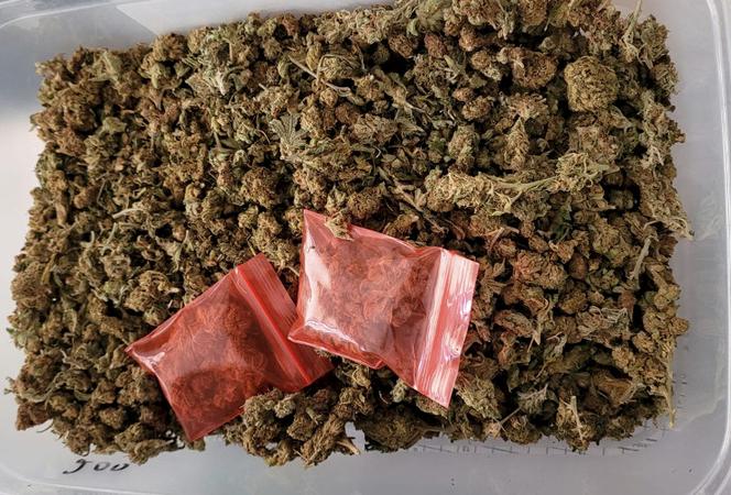 Marihuana