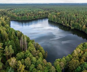 To największy kompleks leśny na Mazurach. Co krok pojawiają się malownicze jeziora