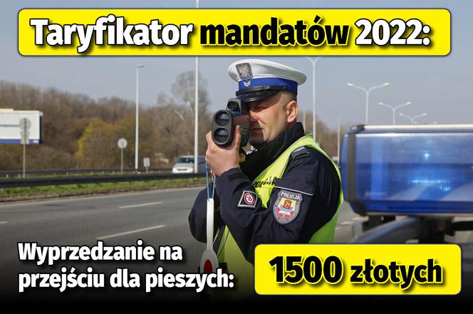 Taryfikator mandatów 2022 