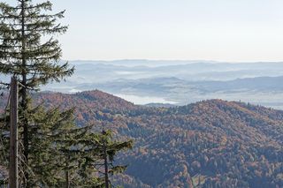 To miejsce w Małopolsce najpiękniej wygląda późną jesienią według AI. Ma status kultowego