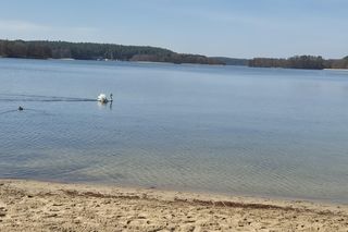 To miasto w Polsce ma najwięcej jezior. Wcale nie znajduje się na Mazurach