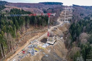 Żurawie przyleciały na Podkarpacie. Pomogą budować najwyższą estakadę