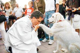 POZNAŃ: Były ksiądz, Tomasz Jaeschke odszedł z kościoła, żeby zbawiać psy