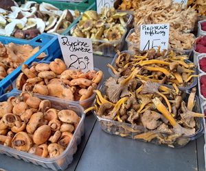 Ceny grzybów na Nowym i Starym Kleparzu w Krakowie