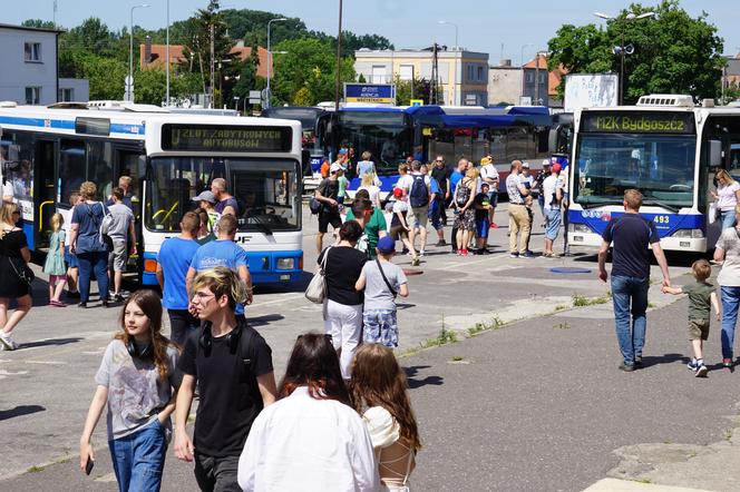 Zlot zabytkowych autobusów 2022 w Bydgoszczy [ZDJĘCIA] 