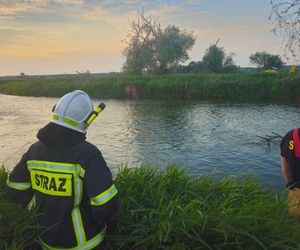 16-latek utonął w Wieprzu pod Puławami. Na wszystko patrzył jego kolega [ZDJĘCIA]