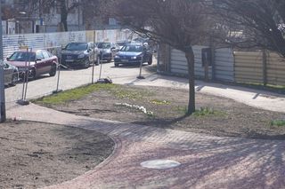 Remont w Parku im. Jadwigi Dziekońskiej w Białymstoku