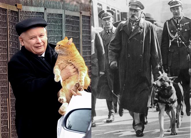 Jest jak Piłsudski