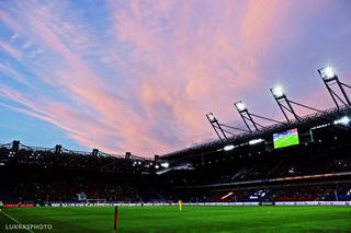 Wisła Kraków - Górnik Zabrze 3:1. Zobacz zdjęcia z meczu! [GALERIA]