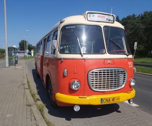 W przyszłym roku 100-lecie autobusów w Toruniu. Jest projekt w Budżecie Obywatelskim