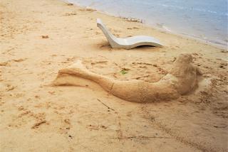 Szukamy imienia dla Syrenki, która pojawiła się na plaży w Brodach