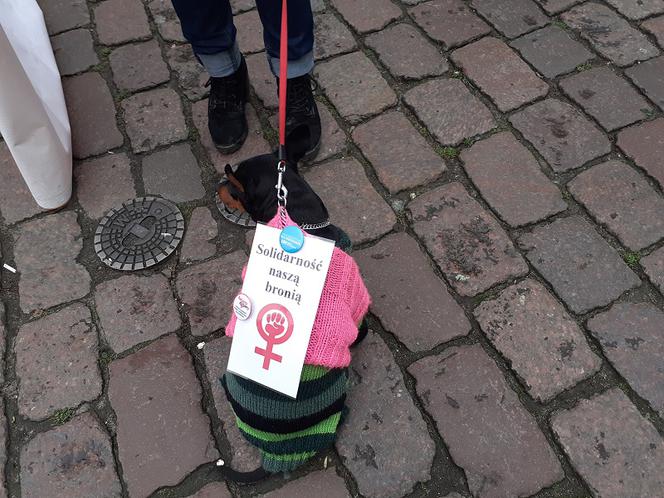 Toruń miał swoją manifestację feministyczną. Zobacz jak wyglądała