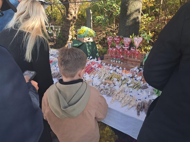 Wszystkich Świętych 2025 w Krakowie