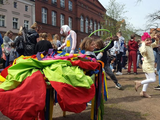 Zające chodzące i z czekolady w centrum Leszna