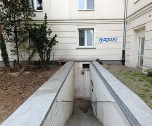  Żyją w symbiozie z gołębiami i kotami. Agresywne gryzonie opanowały blok w Warszawie