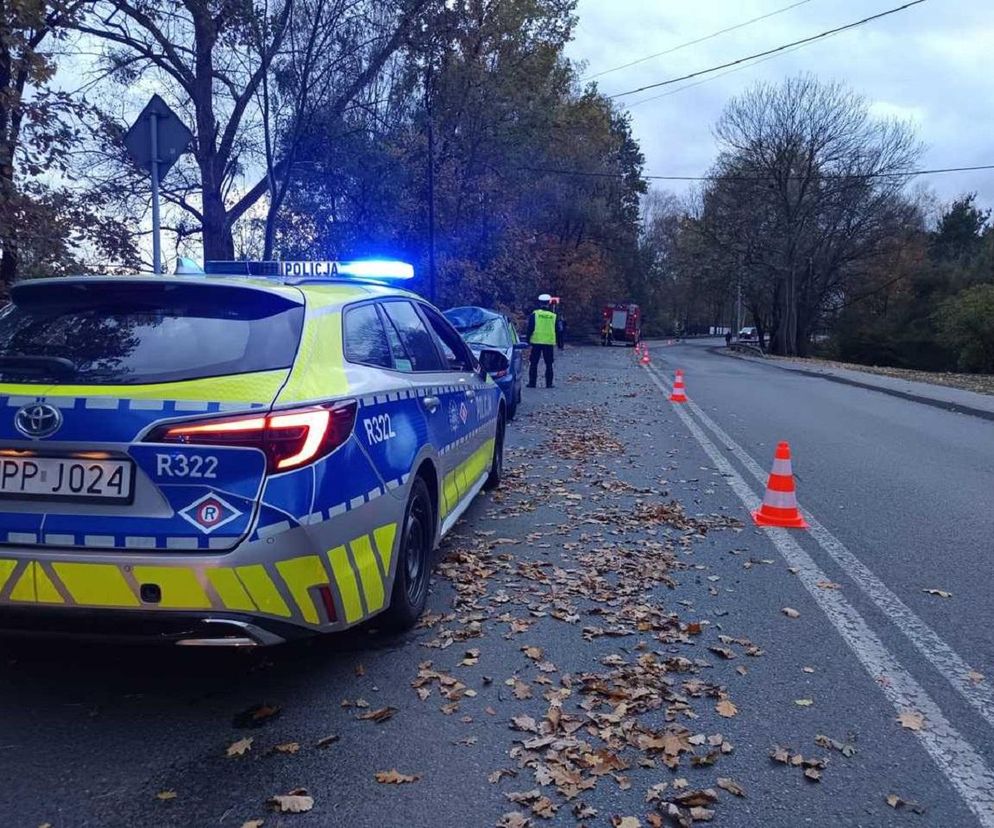 Nie żyje 53-latek potrącony przez samochód. Wykonywał prace porządkowe przy drodze