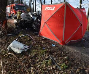  Makabra na Śląsku. 34-latek huknął w drzewo, z auta została miazga. Mężczyzna nie żyje