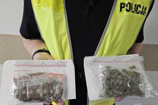 Włocławek marihuana