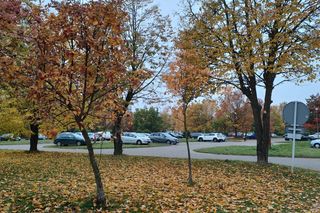 Rusza przebudowa parkingu przy szpitalu w Łomży. Parking zostanie zautomatyzowany!